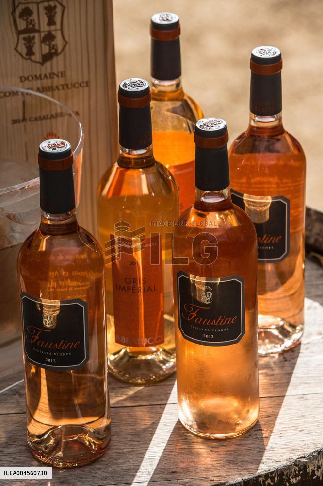 Illustration - Corse du Sud - France