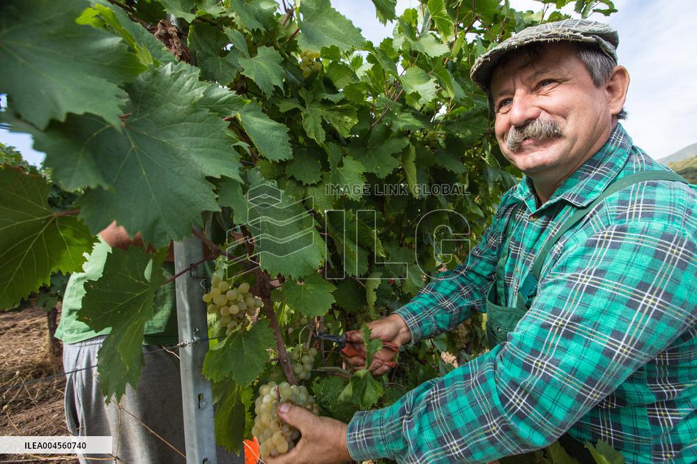 Illustration - Corse du Sud - France
