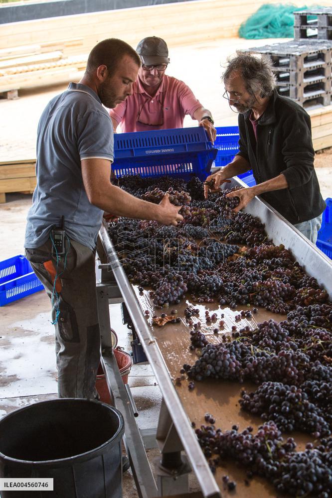Illustration - Corse du Sud - France