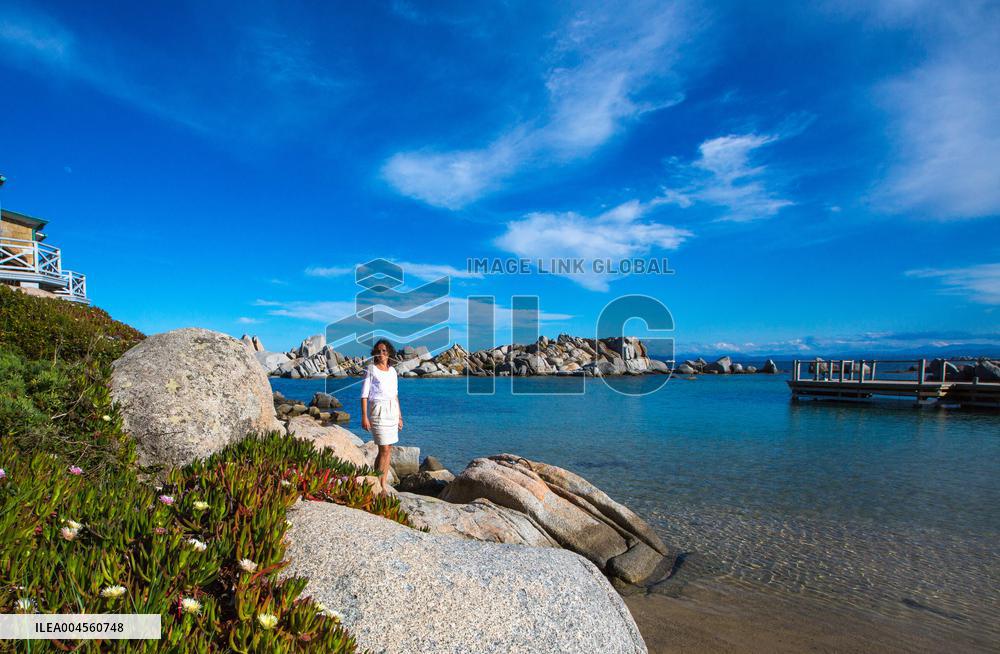 Illustration - Corse du Sud - France