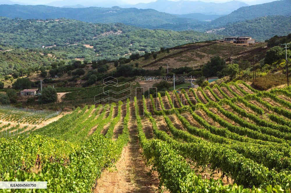 Illustration - Corse du Sud - France