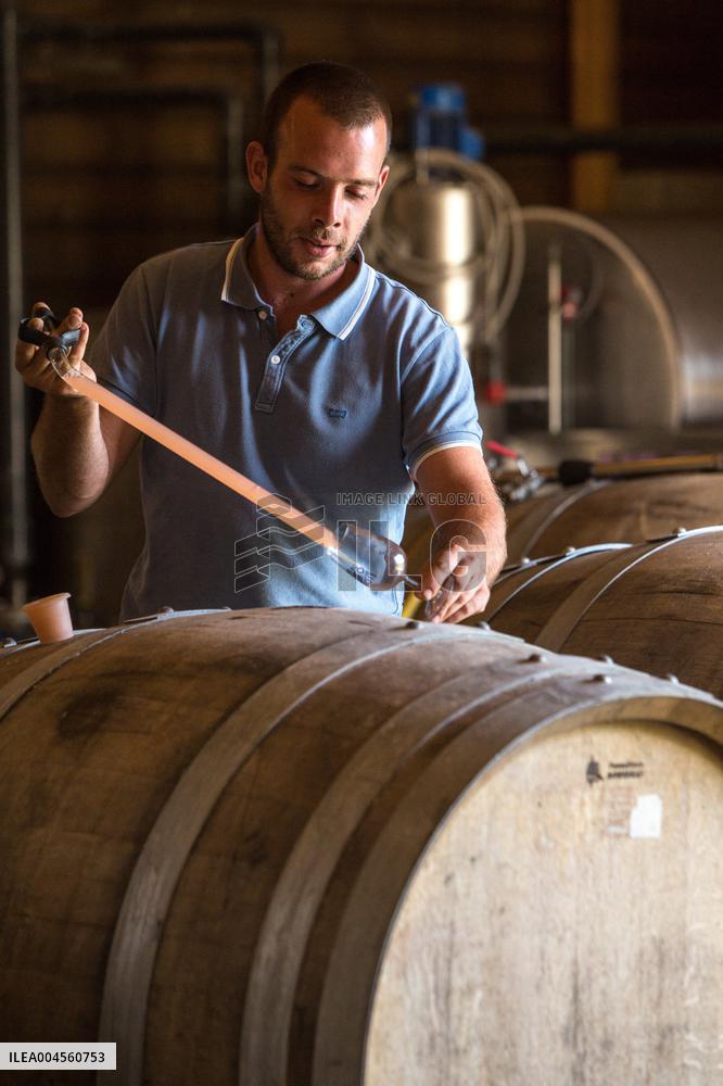 Illustration - Corse du Sud - France