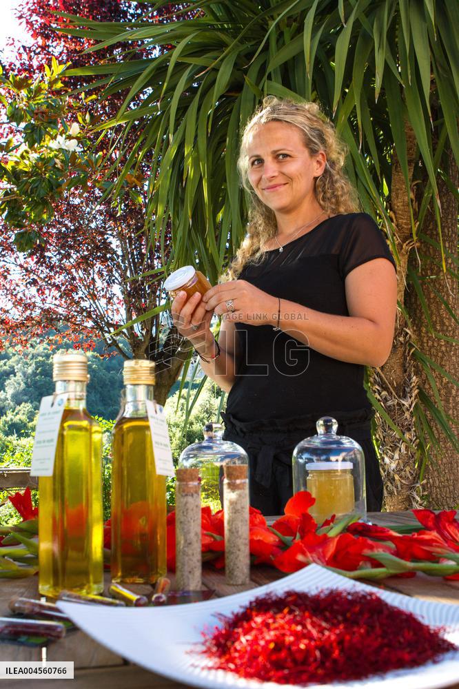 Illustration - Corse du Sud - France