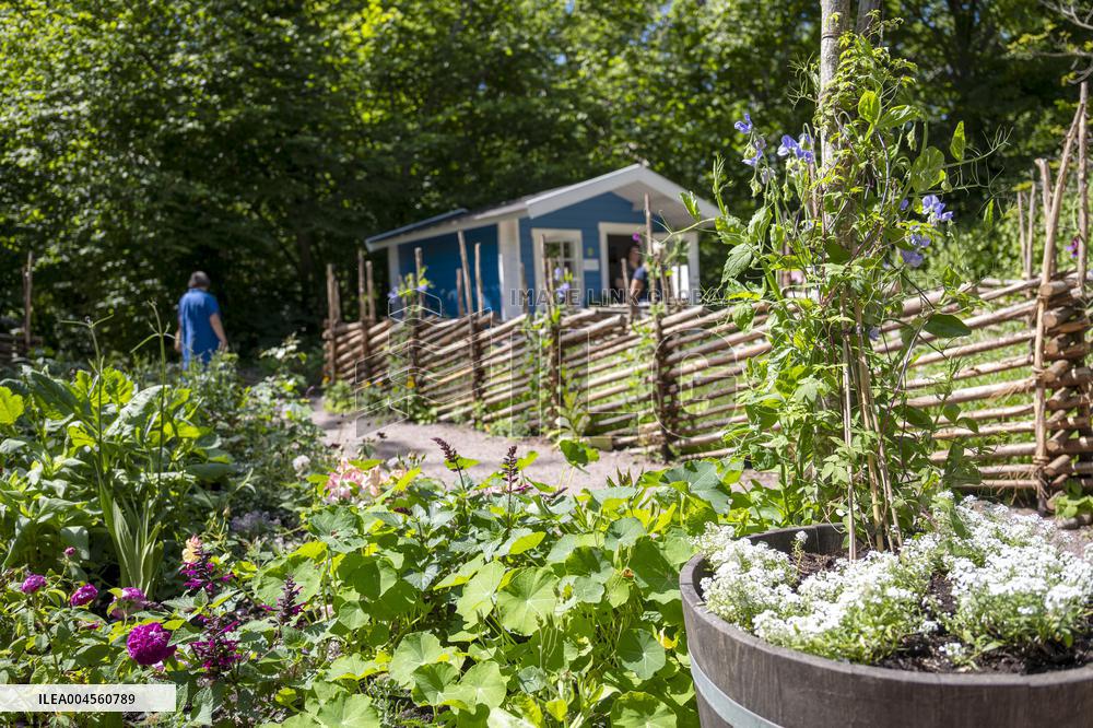 SOLLIDEN ALLOTMENT EXHIBITION
