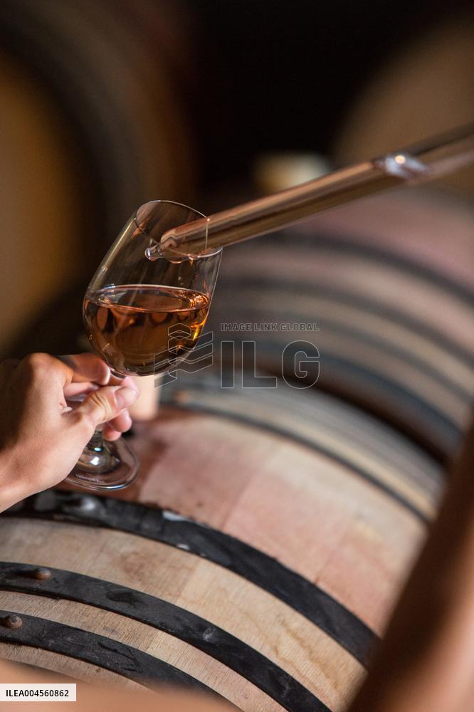 Illustration - Haute-Corse - France