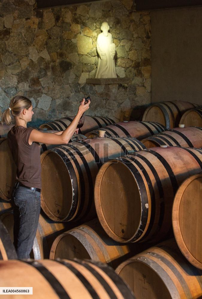 Illustration - Haute-Corse - France