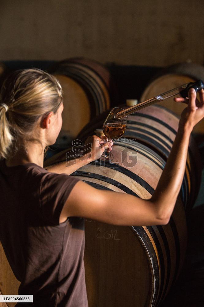 Illustration - Haute-Corse - France