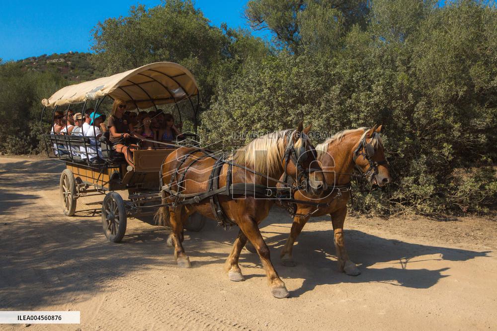 Illustration - Haute-Corse - France