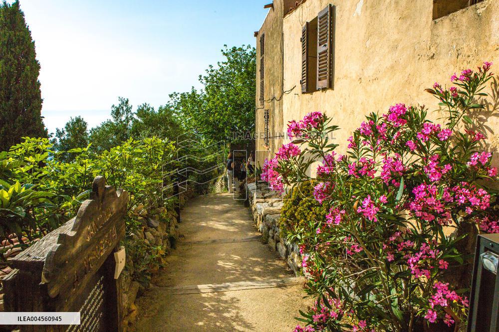 Illustration - Haute-Corse - France