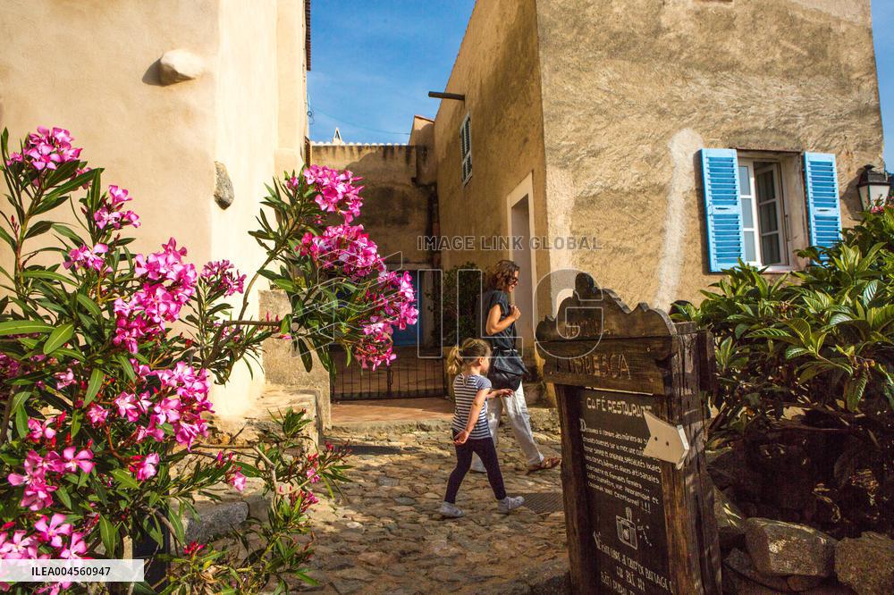 Illustration - Haute-Corse - France