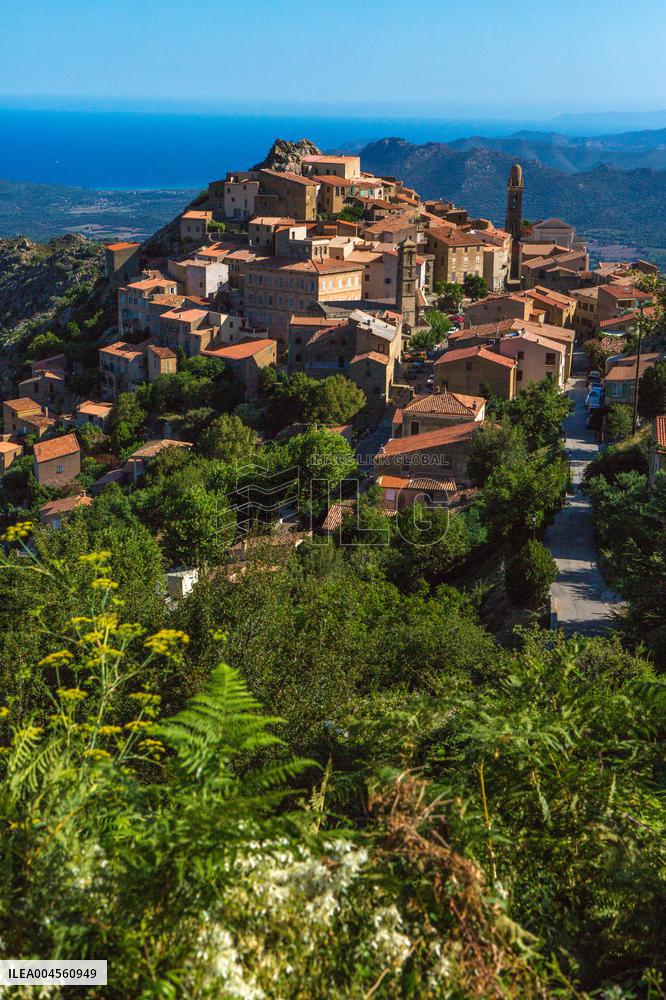 Illustration - Haute-Corse - France