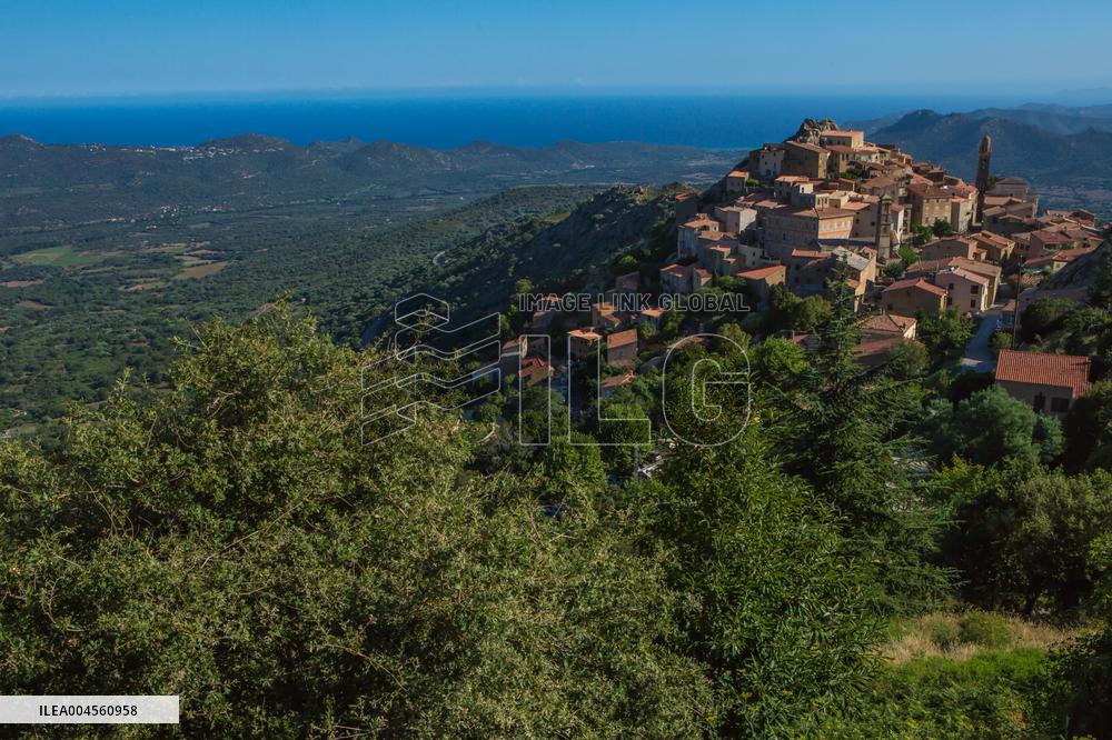 Illustration - Haute-Corse - France