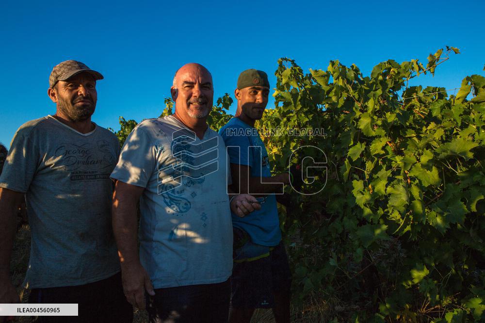 Illustration - Haute-Corse - France