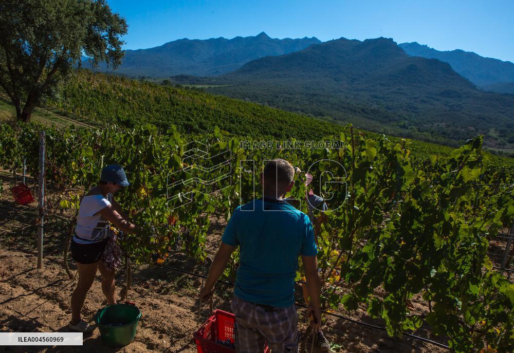 Illustration - Haute-Corse - France