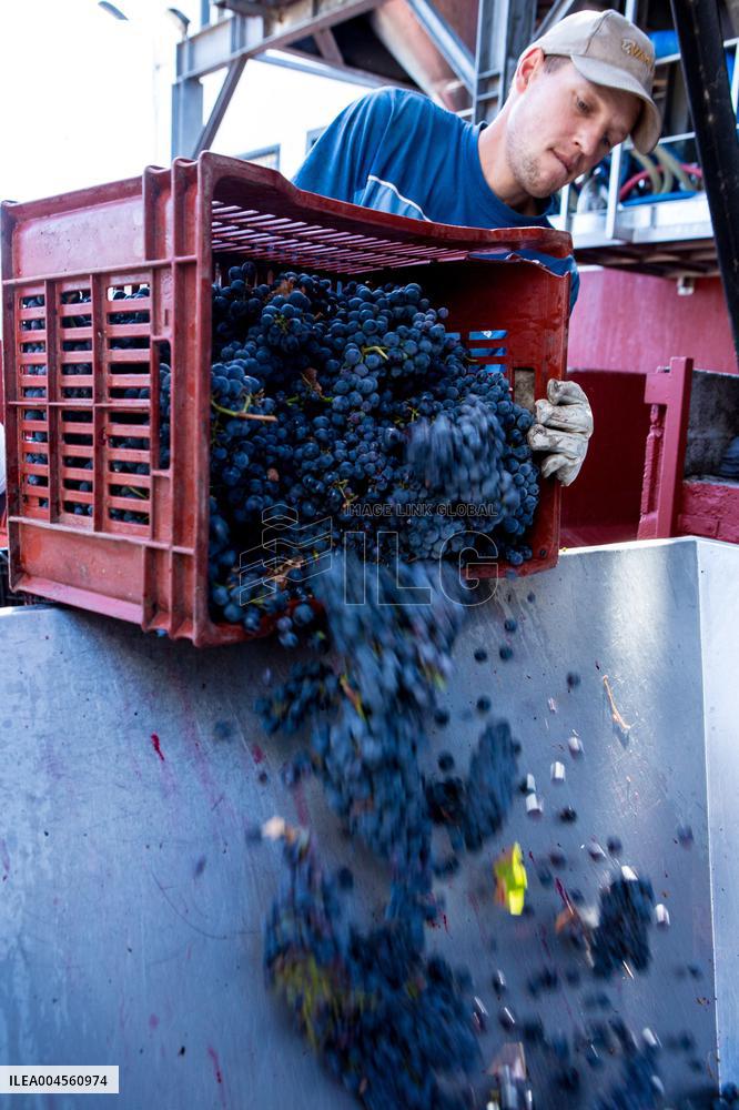 Illustration - Haute-Corse - France