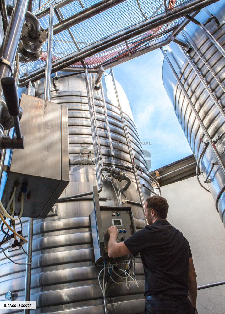 Illustration - Haute-Corse - France