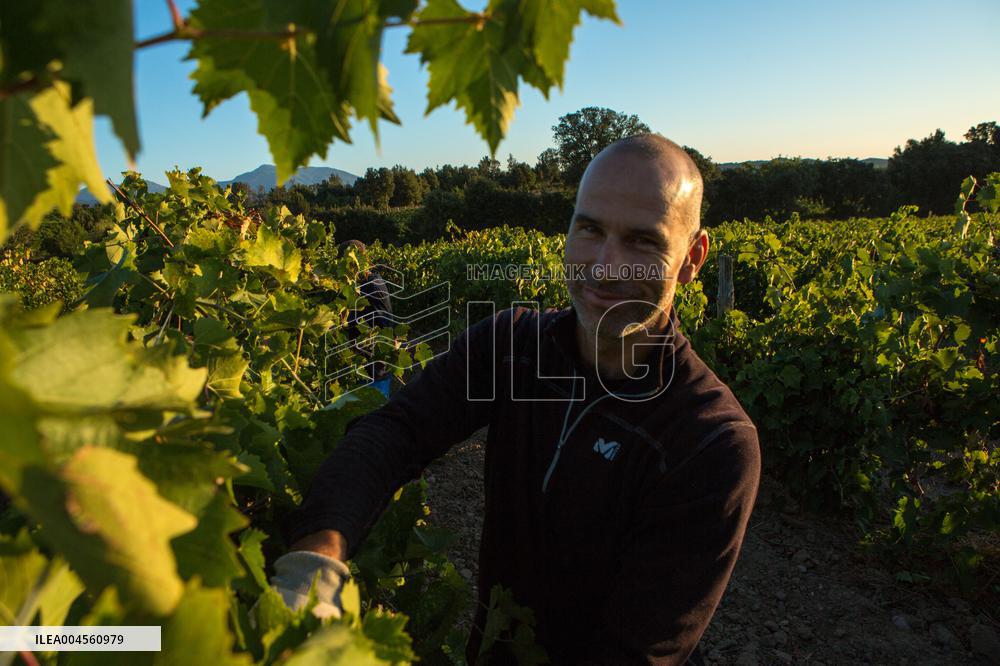 Illustration - Haute-Corse - France