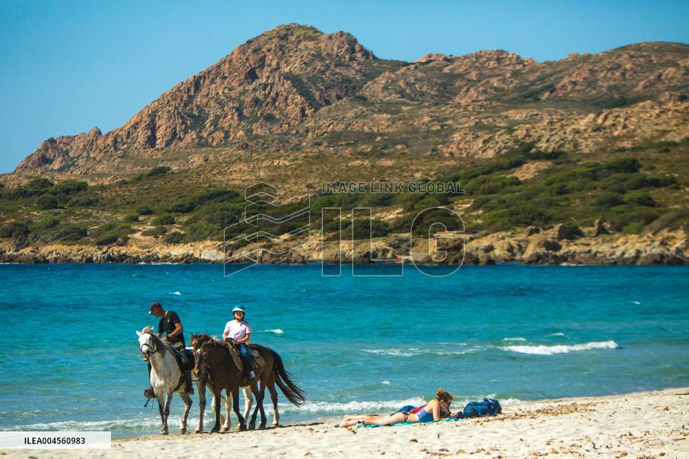 Illustration - Haute-Corse - France