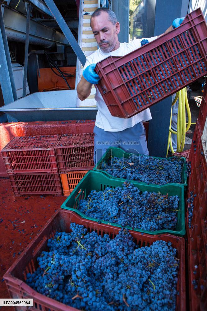 Illustration - Haute-Corse - France