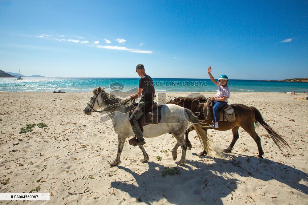Illustration - Haute-Corse - France