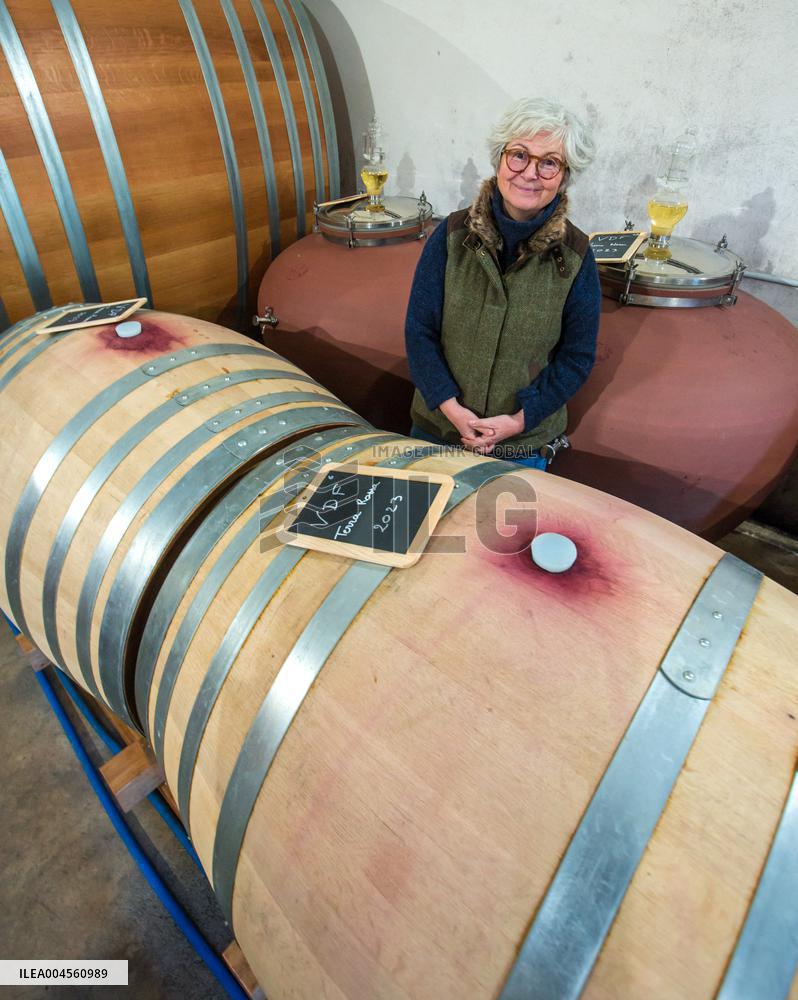 Illustration - Haute-Corse - France