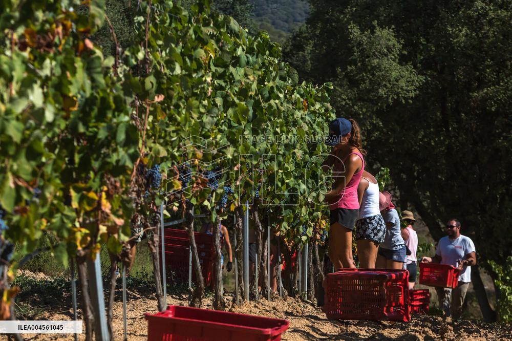 Illustration - Corse du Sud - France