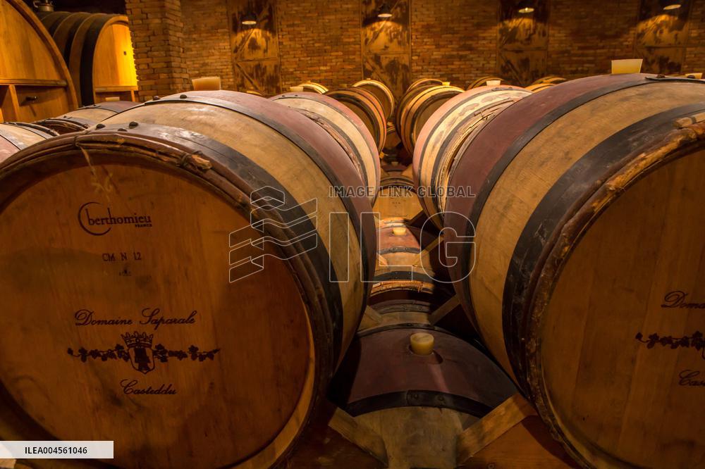 Illustration - Corse du Sud - France