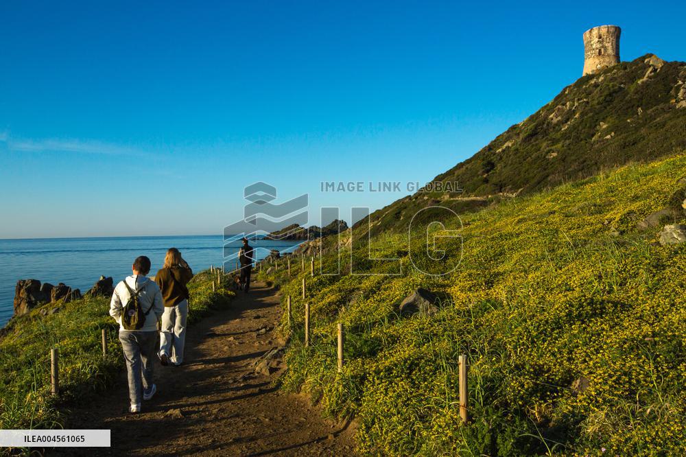 Illustration - Corse du Sud - France