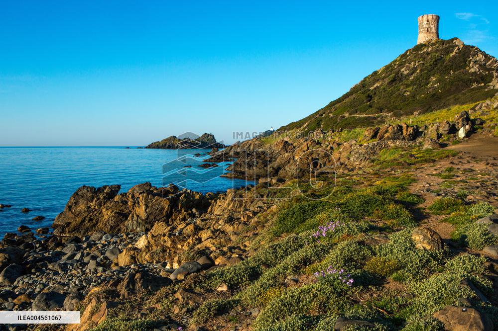 Illustration - Corse du Sud - France