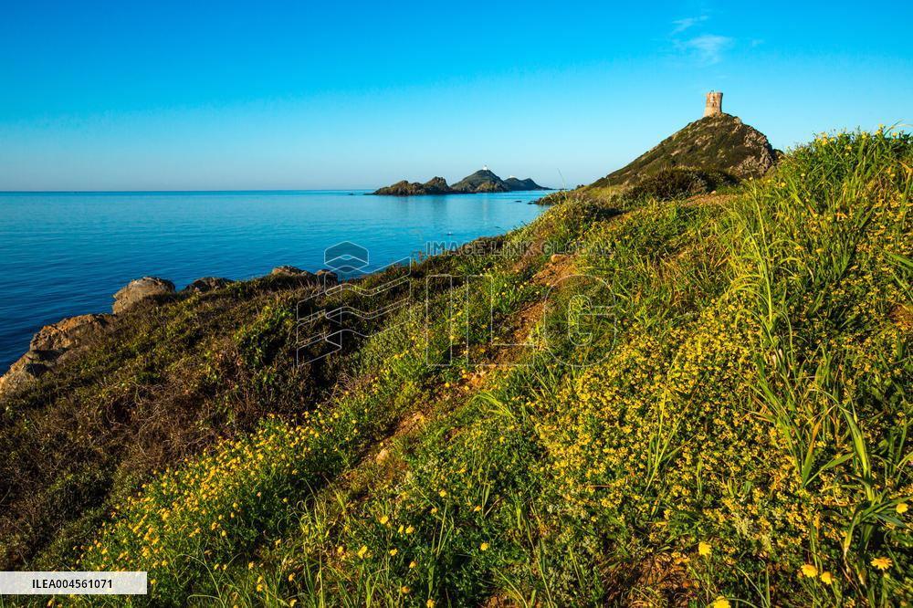 Illustration - Corse du Sud - France