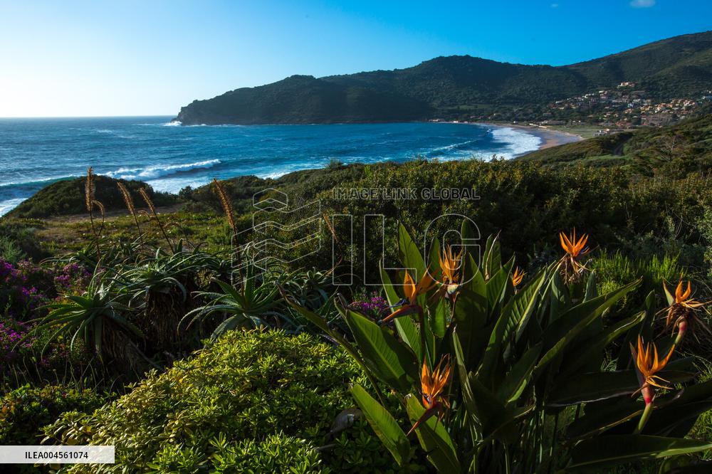 Illustration - Corse du Sud - France