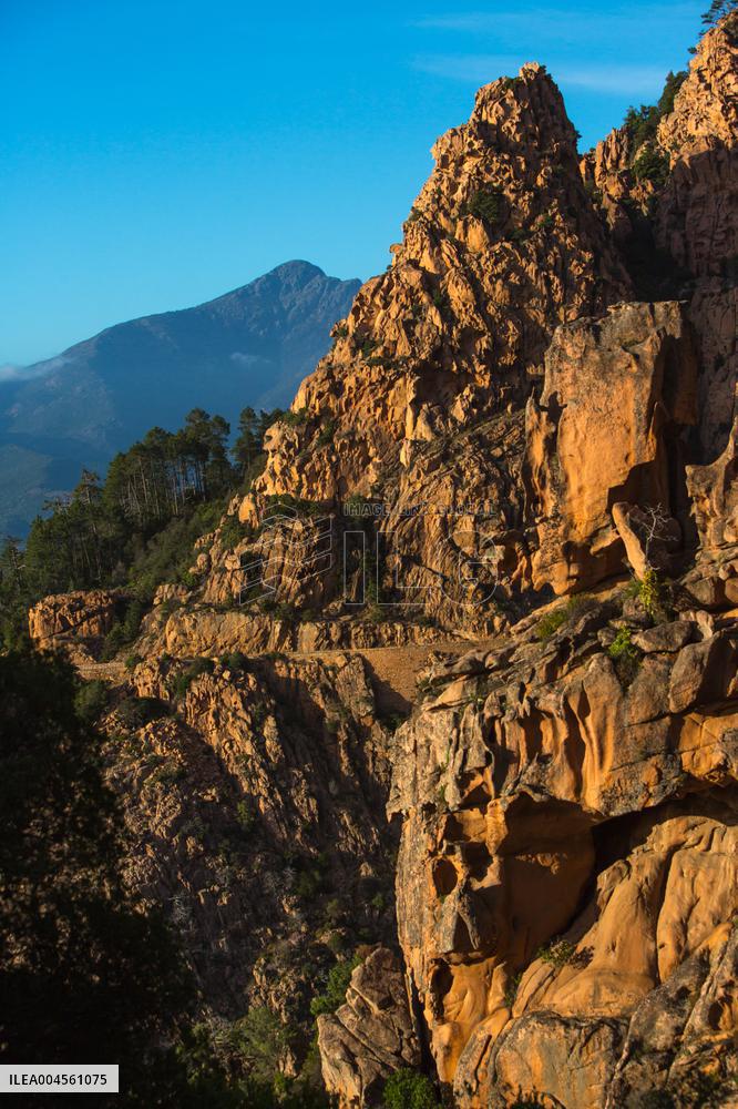 Illustration - Corse du Sud - France