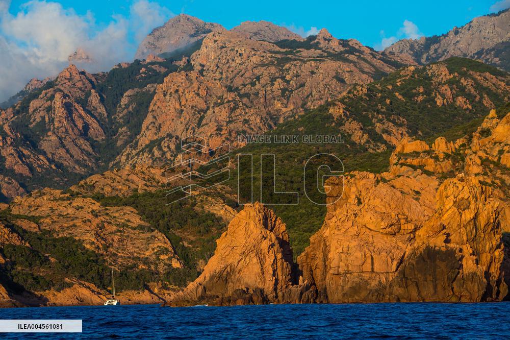 Illustration - Corse du Sud - France