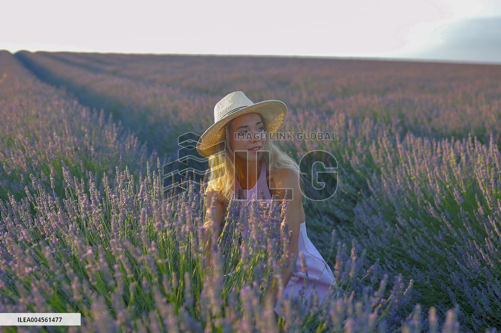 First Lavender Harvests Begin in Valensole as Tourists Flock to Provence Fields