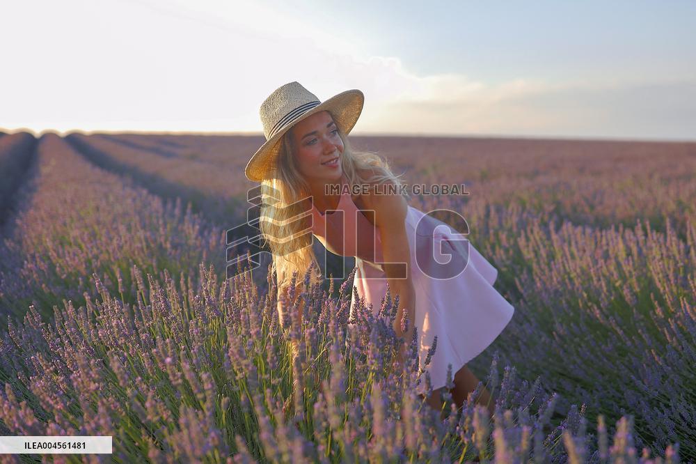 First Lavender Harvests Begin in Valensole as Tourists Flock to Provence Fields