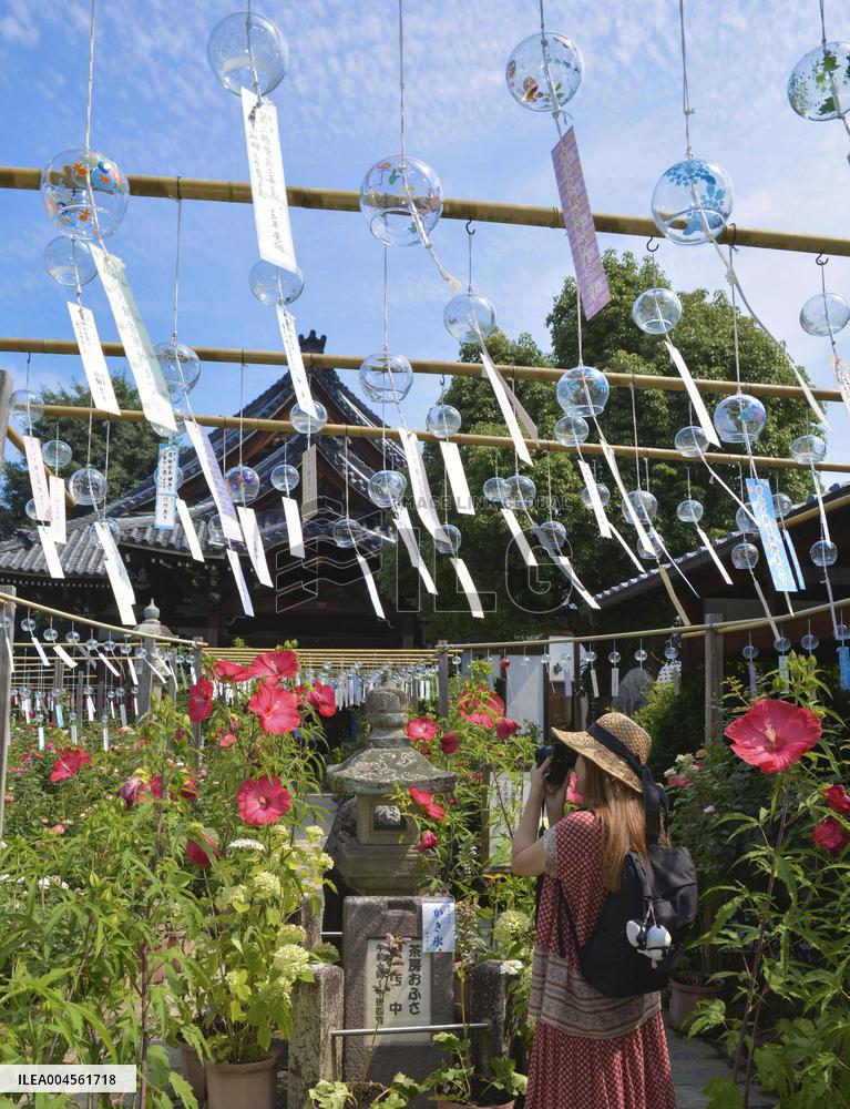 Wind chime festival at western Japan temple