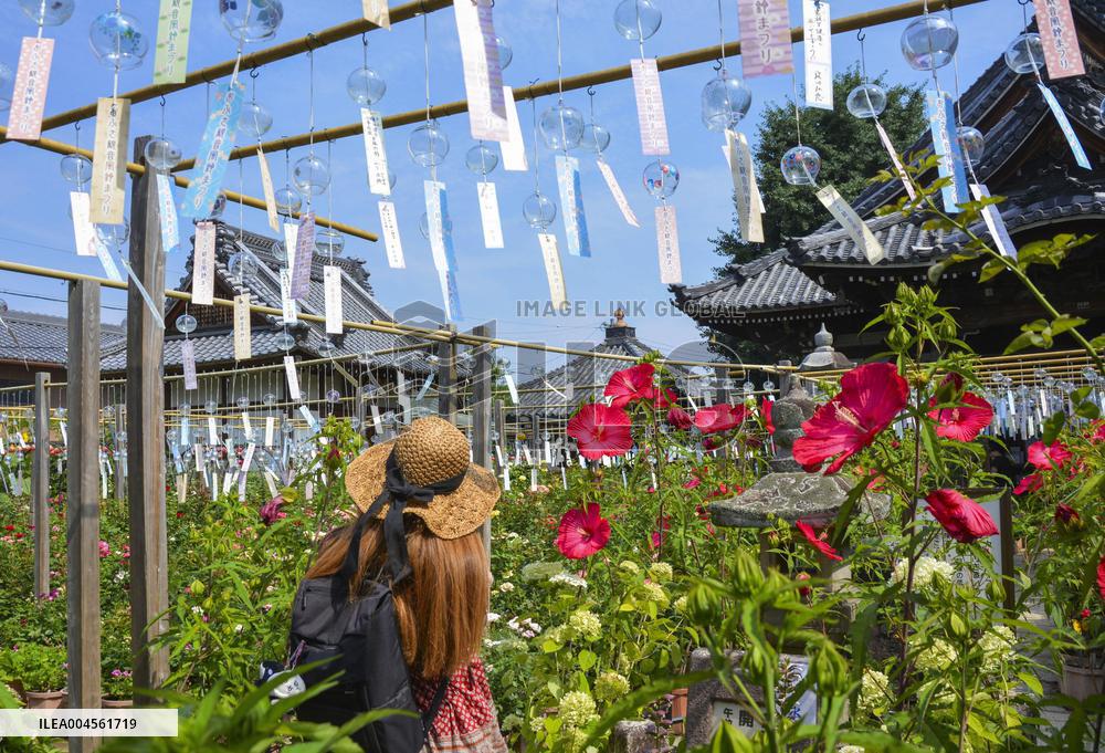 Wind chime festival at western Japan temple