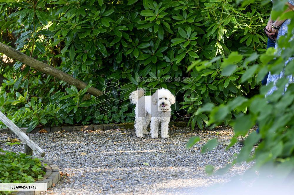 Royal Family s Traditional Photo Session - The Hague