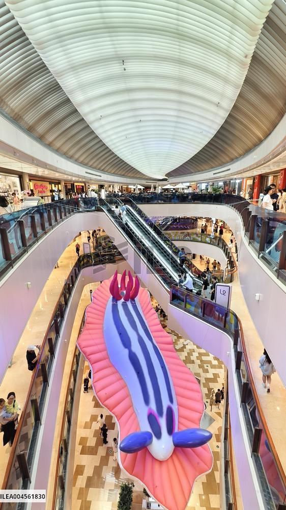 Giant Marine Biological Art Installation