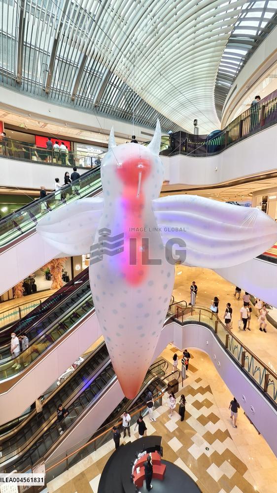 Giant Marine Biological Art Installation