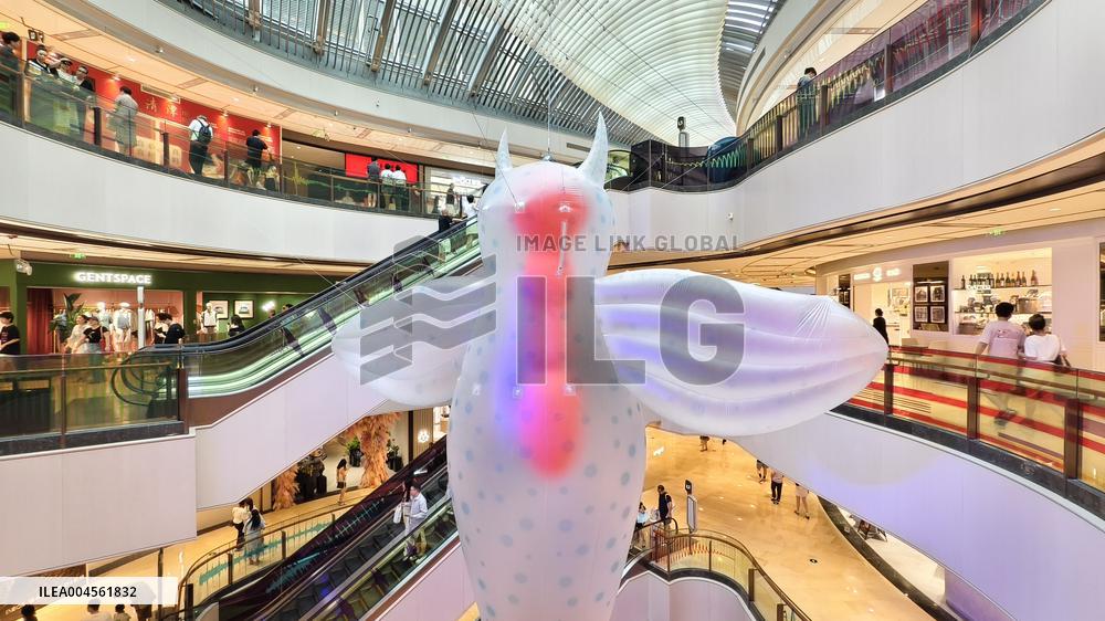 Giant Marine Biological Art Installation