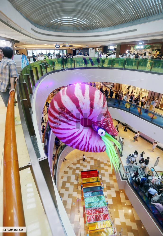 Giant Marine Biological Art Installation