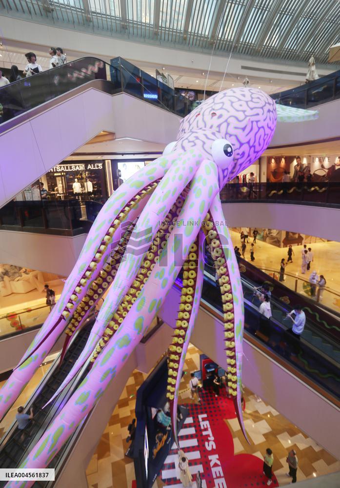 Giant Marine Biological Art Installation