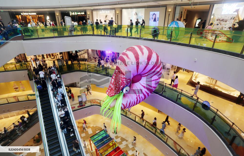 Giant Marine Biological Art Installation