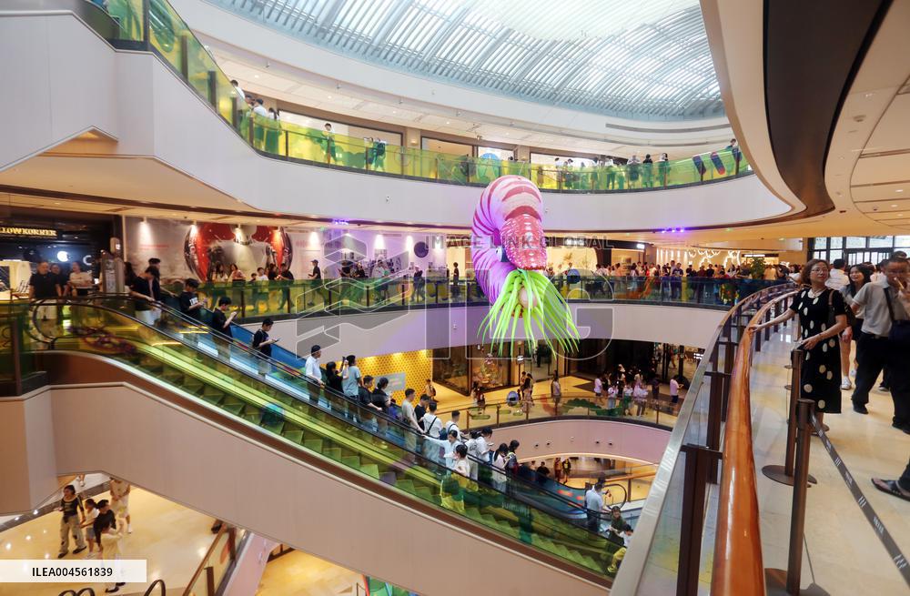 Giant Marine Biological Art Installation