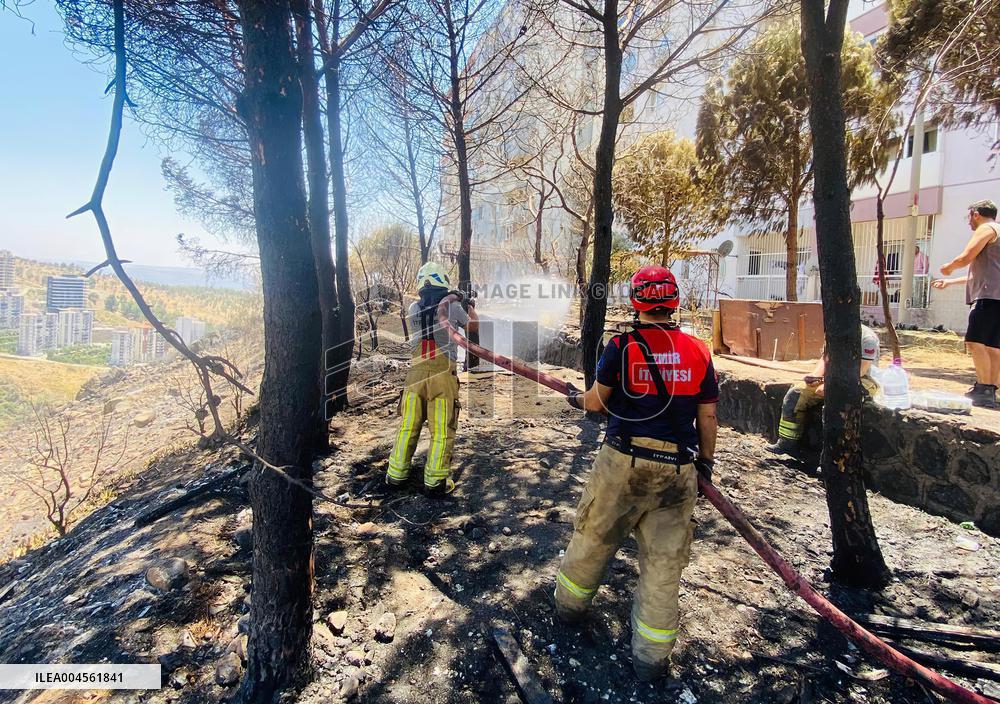 Turkiye Evacuates Over 50,000 Amid Wildfire