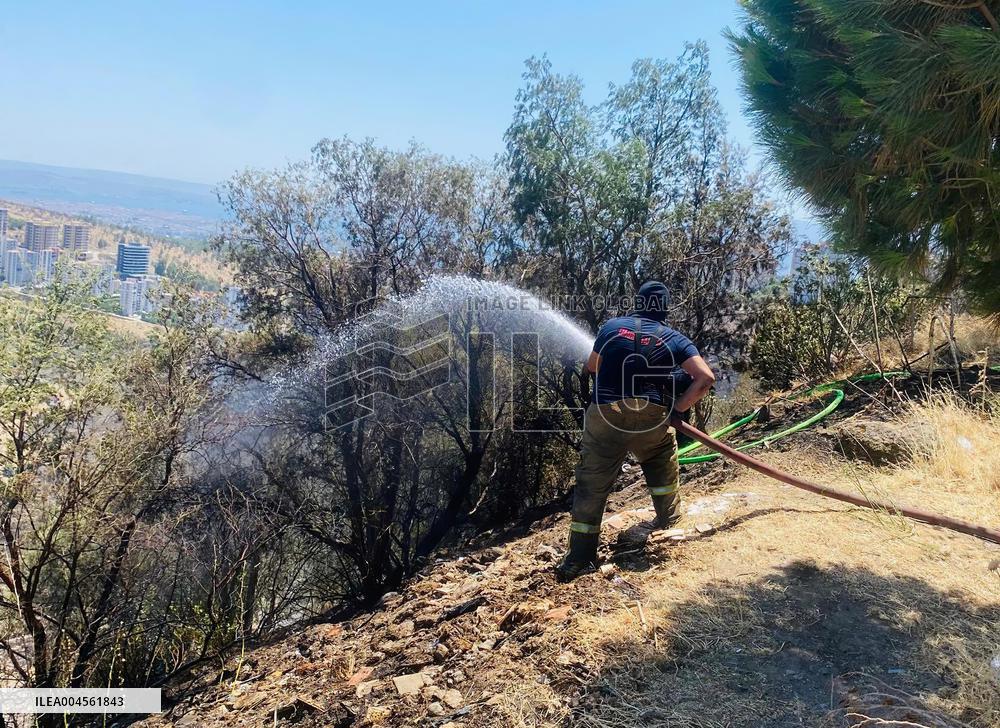 Turkiye Evacuates Over 50,000 Amid Wildfire
