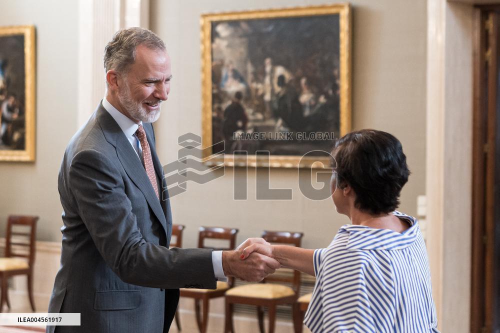 King Felipe VI during an audience - Seville