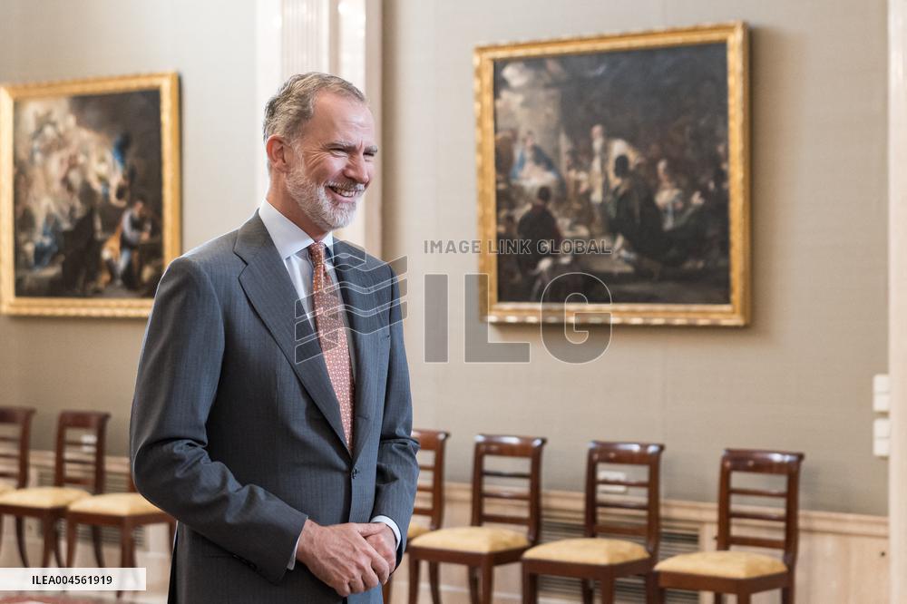 King Felipe VI during an audience - Seville