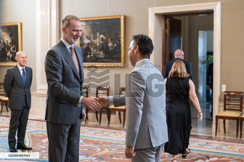 King Felipe VI during an audience - Seville